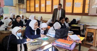 الدكتور علاء عشماوي